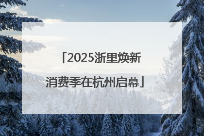 2025浙里焕新消费季在杭州启幕