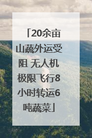 20余亩山蔬外运受阻 无人机极限飞行8小时转运6吨蔬菜