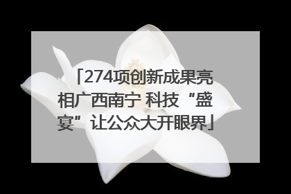 274项创新成果亮相广西南宁 科技“盛宴”让公众大开眼界