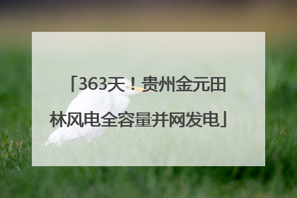 363天！贵州金元田林风电全容量并网发电