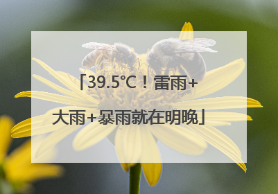 39.5℃！雷雨+大雨+暴雨就在明晚
