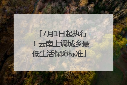 7月1日起执行！云南上调城乡最低生活保障标准