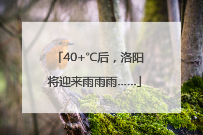 40+℃后，洛阳将迎来雨雨雨……
