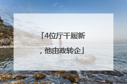 4位厅干履新，他由政转企