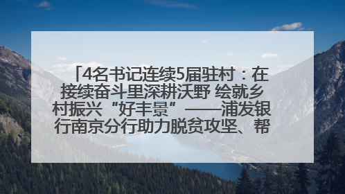 4名书记连续5届驻村：在接续奋斗里深耕沃野 绘就乡村振兴“好丰景”——浦发银行南京分行助力脱贫攻坚、帮促乡村振兴记事（二）