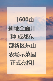 600亩耕地全面开种 成都东部新区东山农场示范园正式亮相
