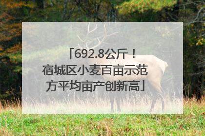 692.8公斤！宿城区小麦百亩示范方平均亩产创新高