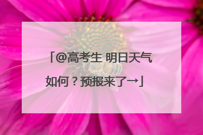@高考生 明日天气如何？预报来了→