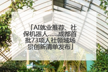 AI就业推荐、社保机器人……成都首批73项人社领域场景创新清单发布