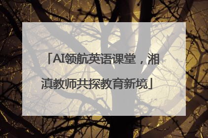 AI领航英语课堂，湘滇教师共探教育新境